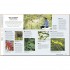 DK RHS How to Create your Garden