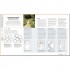 DK RHS How to Create your Garden