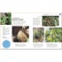 DK RHS How To Garden When You're New To Gardening