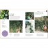 DK RHS How To Garden When You're New To Gardening