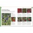 DK RHS How To Garden When You're New To Gardening