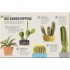 DK Happy Cactus