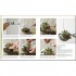 DK RHS Practical Cactus and Succulent Book