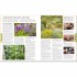 DK RHS Encyclopedia Of Plants and Flowers