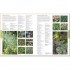 DK RHS Encyclopedia Of Plants and Flowers