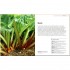 DK Allotment Month By Month