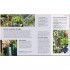 DK Allotment Month By Month