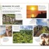DK Eyewitness Bali and Lombok
