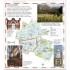 DK Eyewitness Dublin Pocket Map and Guide