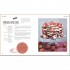 DK Vegan Cakes and Other Bakes