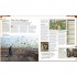 DK Bible Stories The Illustrated Guide