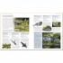 DK Encyclopedia of Aquarium and Pond Fish