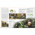 DK Encyclopedia of Aquarium and Pond Fish