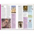 DK Eyewitness Family Guide Rome
