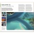 DK Eyewitness Caribbean