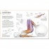 DK Science of Strength Training
