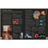 DK The Concise Human Body Book