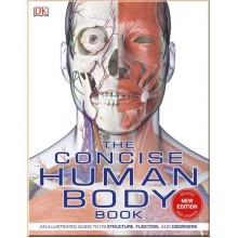 DK The Concise Human Body Book