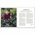 DK Grow Food for Free