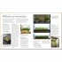 DK RHS Step-by-Step Veg Patch