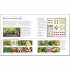 DK RHS Step-by-Step Veg Patch