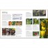 DK RHS Step-by-Step Veg Patch