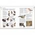DK RSPB Complete Birds of Britain and Europe