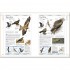 DK RSPB Complete Birds of Britain and Europe