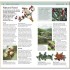 DK RSPB Pocket Garden Birdwatch