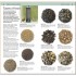 DK RSPB Pocket Garden Birdwatch