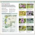 DK RSPB Pocket Garden Birdwatch