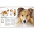 DK The Complete Dog Breed Book