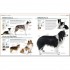 DK The Complete Dog Breed Book