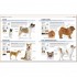 DK The Complete Dog Breed Book