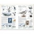 DK RSPB Birds of Britain and Europe