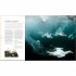 DK The Science of the Ocean
