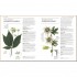 DK Neal's Yard Remedies Healing Herbs