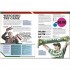 DK The Football Book