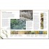 DK RHS Complete Gardener's Manual