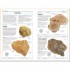 DK Rocks and Minerals