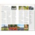 DK Eyewitness Road Trips Ireland