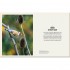 DK How to Attract Birds to Your Garden