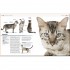 DK The Complete Cat Breed Book