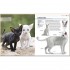 DK The Complete Cat Breed Book