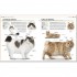 DK The Complete Cat Breed Book