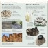 DK What's that Rock or Mineral?