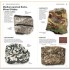 DK What's that Rock or Mineral?