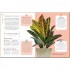 My House Plant Changed My Life