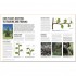 DK Grow Pruning and Training