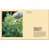 DK Grow Pruning and Training